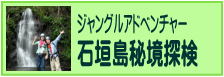 ジャングル・トレッキング・石垣島秘境探検