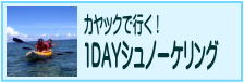 カヤックで行く！１ＤＡＹシュノーケリング