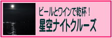 ビールとワインで乾杯！星空ナイトクルーズ