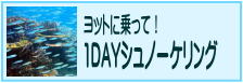 ヨットに乗って！１ＤＡＹシュノーケリング