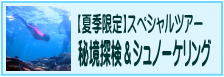 ジャングル・トレッキング・＆シュノーケリング